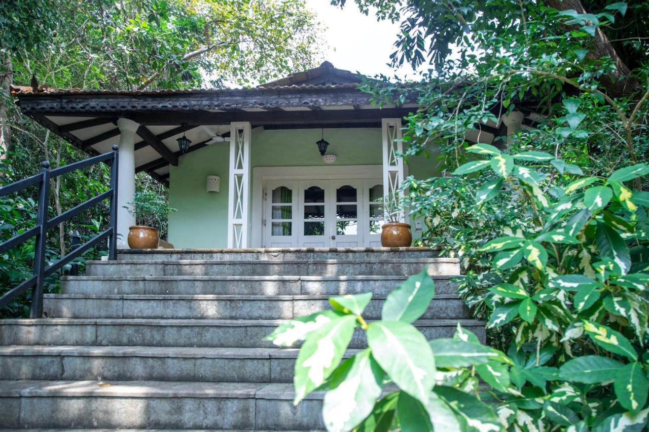 Wildflower Villas - All Villa Hotel, Family Run Candolim Exterior photo